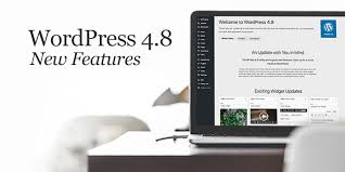 Wordpress 4.8